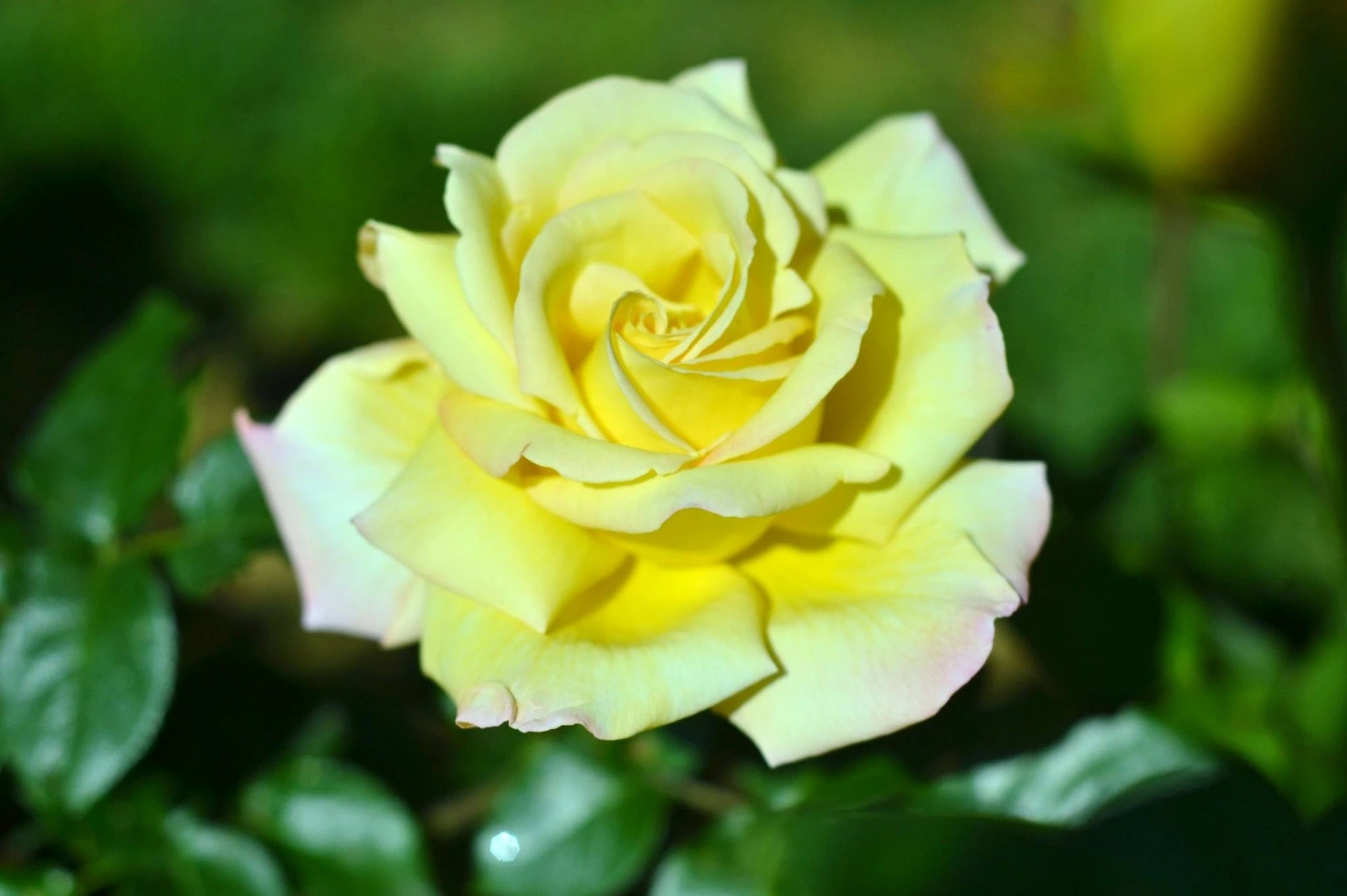 Quand le désir s’éloigne dans le couple, ce n’est pas une fatalité. Découvrez les causes, les pistes et les clés pour renouer avec le plaisir